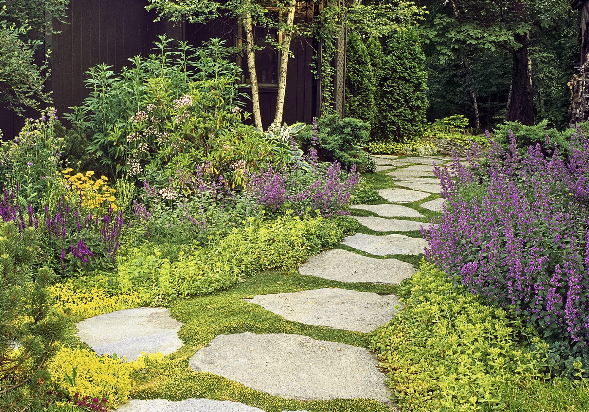 Ground Cover Plants: Everything You Need to Know - This Old House