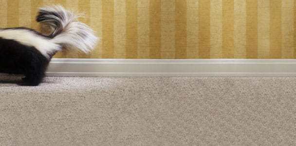 How To Get Rid of Bad Smells the Safe Way - This Old House